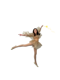 Fairy